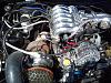 DSC00058.jpg