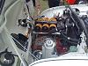 DSC00202.jpg